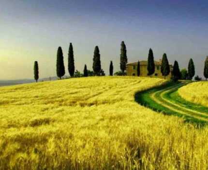 2026/03/images/tour_2165/toskana-2-large.jpg