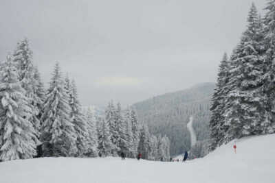 2022/11/images/tour_1128/nacionalni-park-kopaonik-12-400x267.jpg