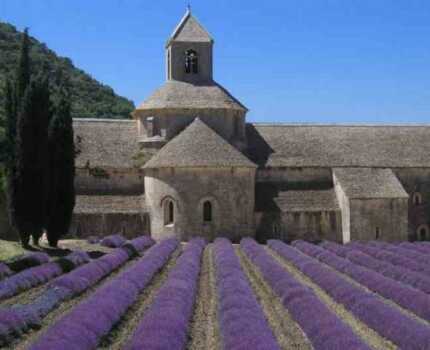 2025/05/images/tour_1933/provansa-2-large.jpg